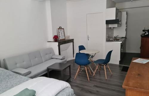 Beaugency-1 sur la route des Châteaux - Photo 16