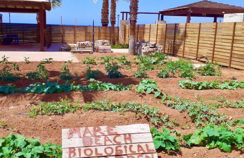 Mare Beach Villa - Photo 27