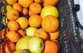 Casa Museddu - Foto 16