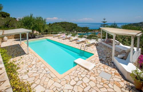 Bougainvillea - Foto 32