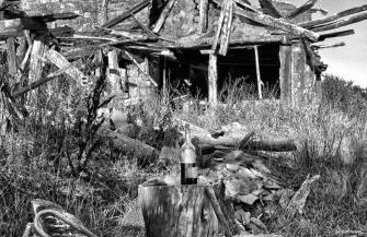 Anatiduero - Foto 31