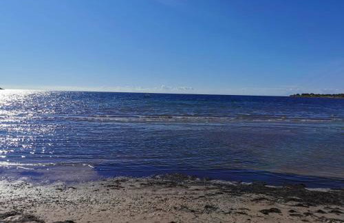 App Palčić K - Photo 13