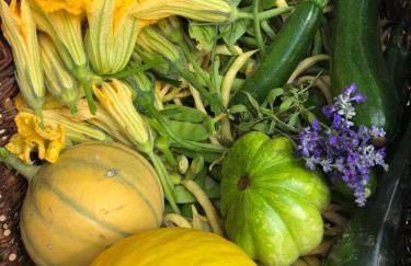 L'Olivier Fleurie Barjols - Foto 36