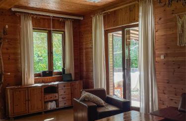 Rzeka i las - Photo 52