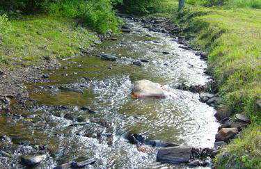 Roaring Creek - Photo 24