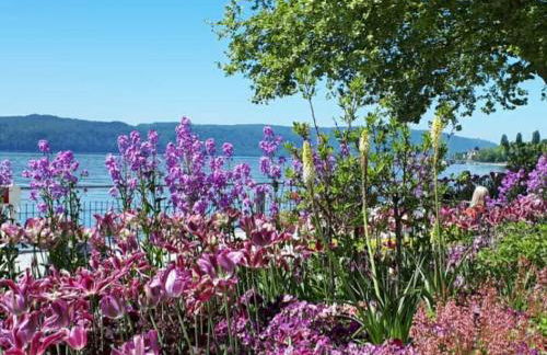 Lakeview Penthouse - Foto 56