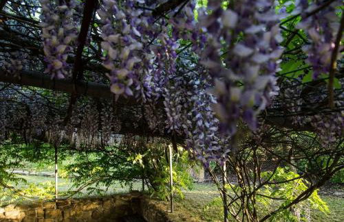 Holiday Home Haustierfreundliches 'Cottage Glicini' mit Pool und Aussicht by Interhome - Foto 34