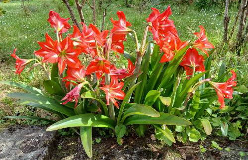 La Torretta - Foto 63