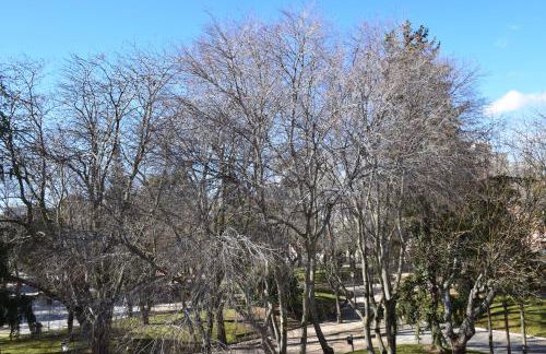 Apartamento Turístico la Concordia - Foto 30