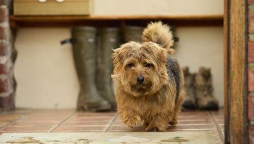 Daisys Place at Middle Farm and Cottages - Foto 2