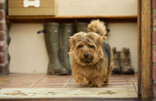 Gooseyard at Middle Farm and Cottages - Foto 9