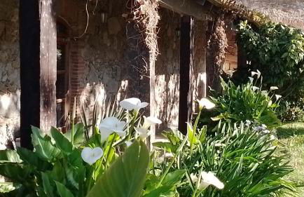 Casa rural El refugi platja d'aro 4 - Foto 58