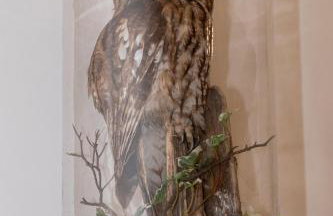 2 Bed in Saltburn-by-the-sea oc-wa021 - Foto 23