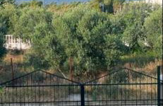 Maria's family house - Foto 59