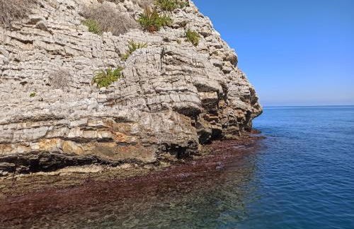 Jacona 365 - Foto 66