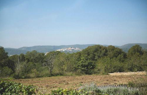 MASIA BARTOMEU Rural house between vineyards 2km from the beach - Foto 35