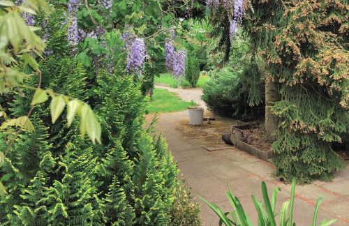 Taras Ferienwohnung - Foto 24