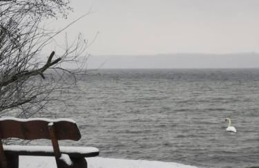 Wald- und Seeblick Camp Zislow - Foto 13