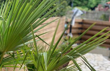 Apolina Malinska - Foto 15