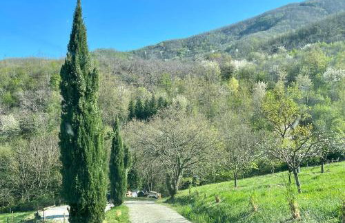 Bio Agriturismo Il Vigno - Pool Sauna Nature - Farm To Table Food - Wild Tuscan countryside - Adults Only - Your Place to Breathe - Foto 8