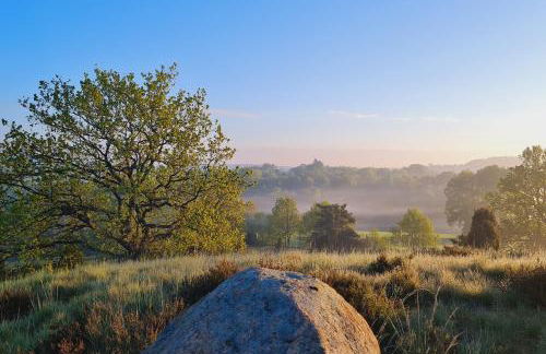 Heide Ferien - Hof Bockelmann - Foto 33