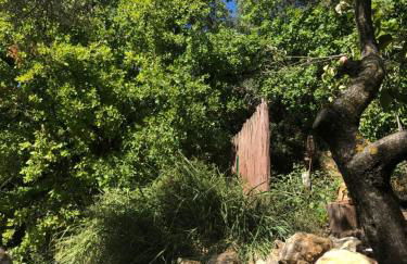 L'Olivier Fleurie Barjols - Foto 68