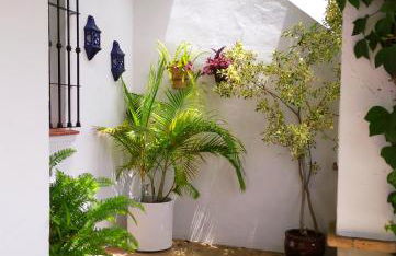 Casa Rural Las Molina - Photo 10