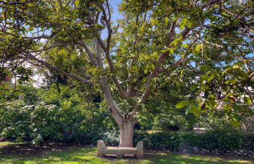 Casale del Forno - Foto 30