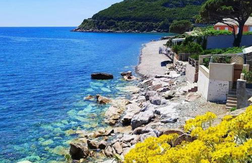 Bel appartement avec piscine Cap Corse- Sisco - Foto 55