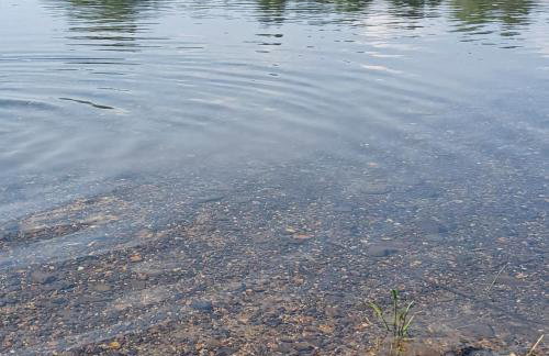 Guest House Doležal - Foto 45