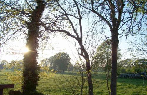 de Boer Comfortable holiday residence - Foto 11