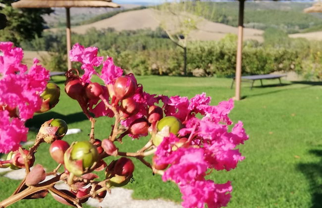 San Lorenzo Agriturismo - Foto 38