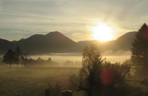 Ferienwohnungen Mooshäusl - Foto 7