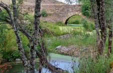 Casa das Rosas - Foto 37