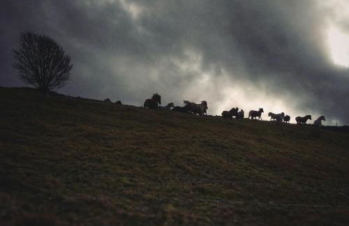 Conwy Cottage - Foto 27