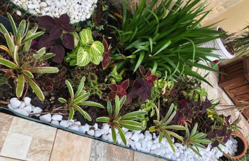 Casa de praia, piscina aquecida, cervejeira e bilhar - Photo 70