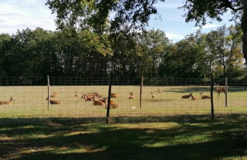 Gîte Le Bois Clairet - Foto 25