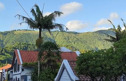 Atlantic Furnas - Photo 2