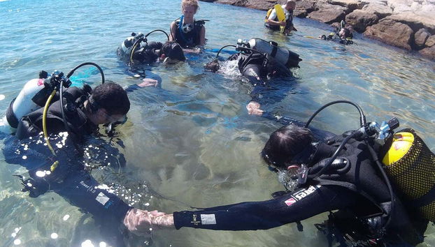 Beginner's Scuba Dive in Tarragona - Photo 5