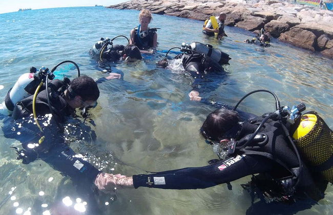 Beginner's Scuba Dive in Tarragona - Photo 5