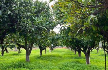 ktima_countryliving - Foto 19