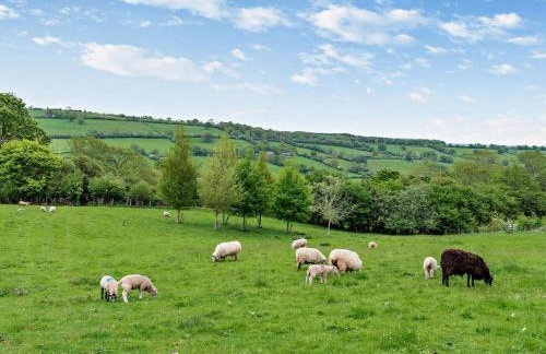 2 Bed in Hereford oc-42881 - Photo 27