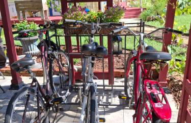 The Three Sisters - Pelican Crystal River FL - Foto 28