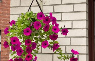 Ferienhaus bei Engel - Foto 33