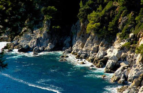 Can Senio 2 - Foto 35