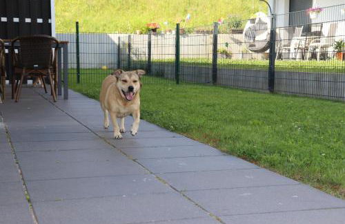 Barrierefreie Ferienwohnungen in der Nähe der Golf- und Freizeitanlage - Foto 57