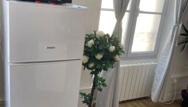 Le repos poitevin Le Floral - Foto 3