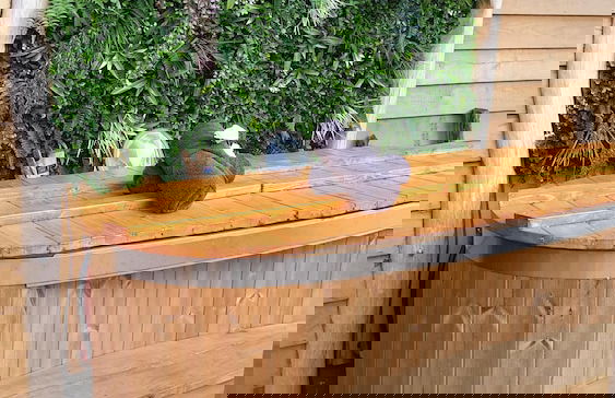 Kabanéo - Gîte et Sauna- Samois sur Seine - Forêt de Fontainebleau - Foto 17