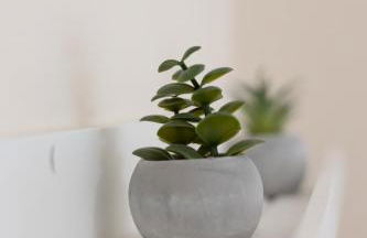 Santa Marina 2 - Foto 33