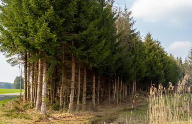 Moderne Unterkunft in Leutkirch - Foto 28